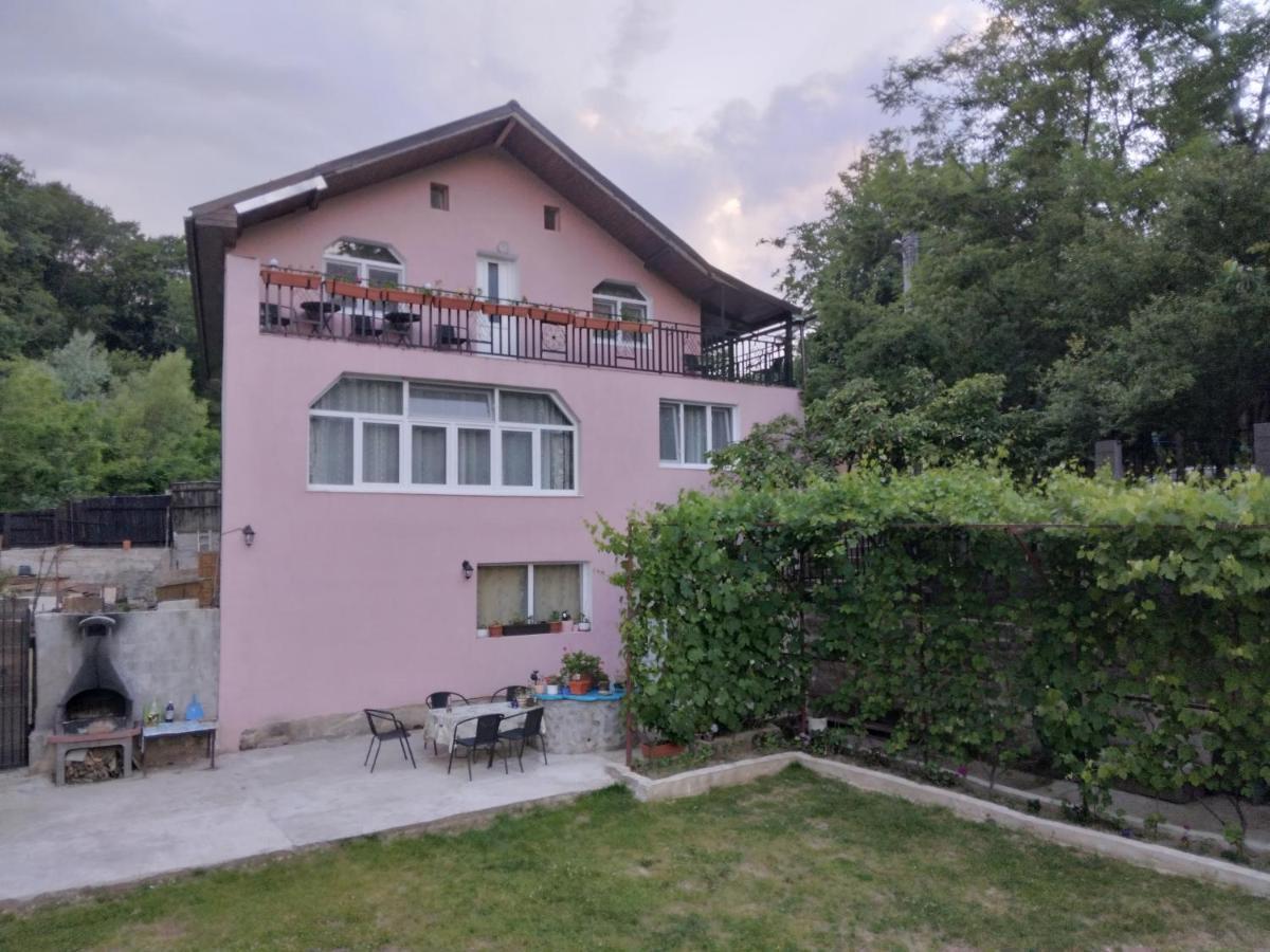 Casamarinela Hotel Orşova Buitenkant foto