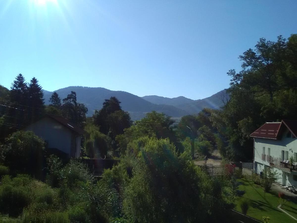 Casamarinela Hotel Orşova Buitenkant foto
