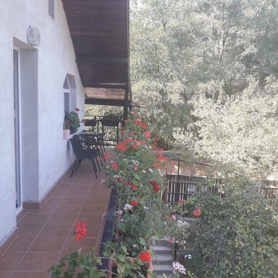 Casamarinela Hotel Orşova Buitenkant foto